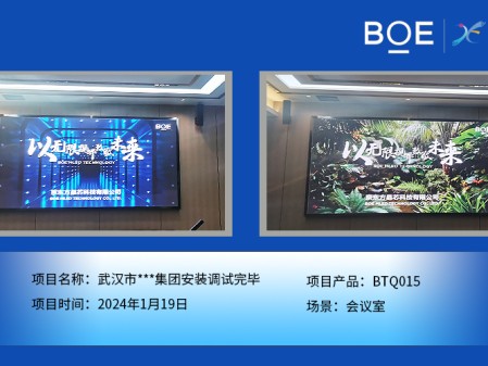 武漢市**集團(tuán)會(huì)議室BTQ015安裝調(diào)試完畢
