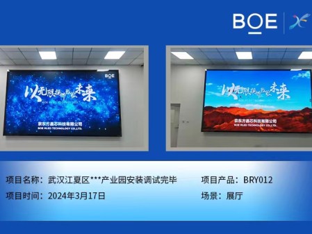 武漢江夏區(qū)**產業(yè)園展廳BRY012安裝調試完畢