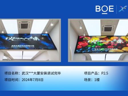 武漢***大廈安裝調(diào)試完畢