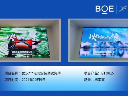 武漢***電網(wǎng)安裝調(diào)試完畢