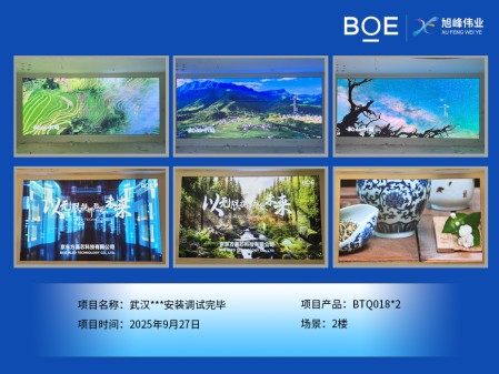 武漢***安裝調(diào)試完畢