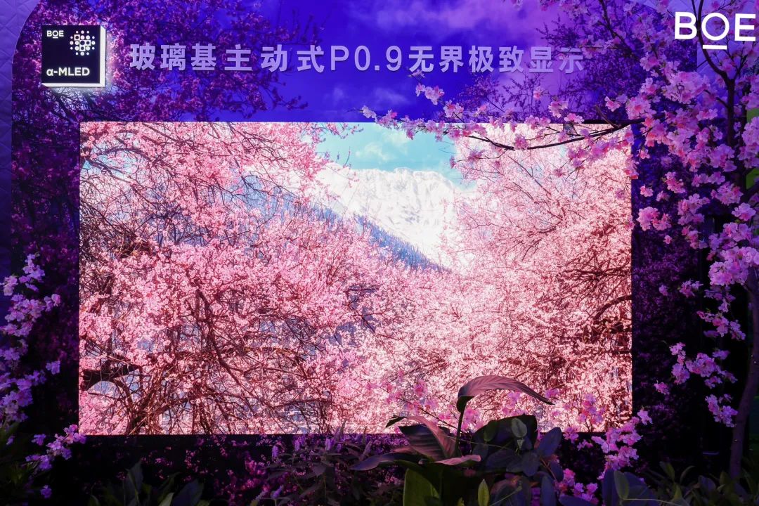 1698119224297125.jpg 3.jpg